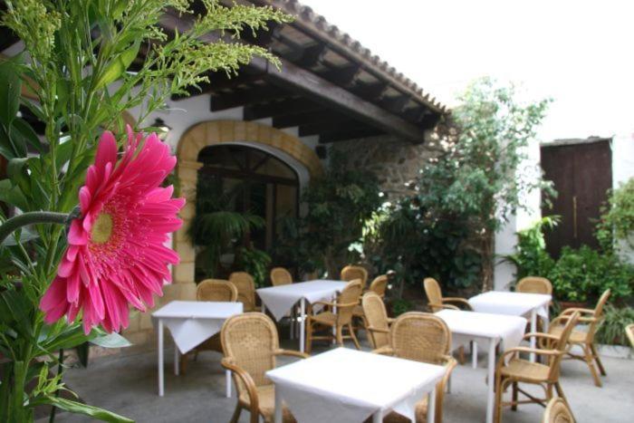 Hostal Torre De Guzman コニル・デ・ラ・フロンテラ エクステリア 写真